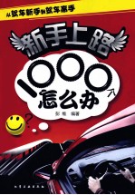 新手上路1000个怎么办