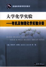 大学化学实验  有机及物理化学实验分册