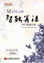 MATLAB智能算法30个案例分析