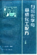 日用化学与精细化工配方 上