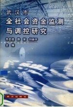 武汉市全社会资金监测与调控研究