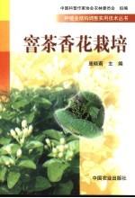 窨茶香花栽培