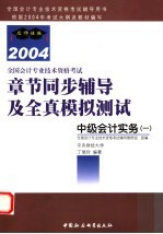 全国会计专业技术资格考试章节同步辅导及全真模拟测试 2004 中级会计实务 1