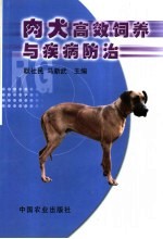 肉犬高效饲养与疾病防治