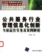 公共服务行业管理信息化创新 全球最佳实务及案例解析