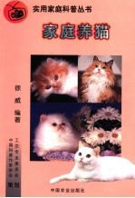 家庭养猫