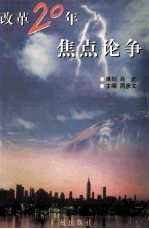 改革20年焦点论争 1978-1998 文学焦点 艺术焦点 缪斯骚动 酒神烂醉