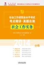 2014社会工作实务  中级