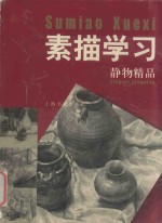 素描学习 静物精品