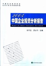 中国企业投资分析报告 2004 2004年版