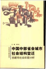 中国中部省会城市社会结构变迁  合肥市社会阶层分析