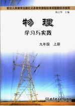 物理学习与实践 九年级 上