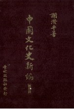 中国文化史新编 3