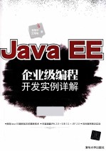 Java EE企业级编程开发实例详解