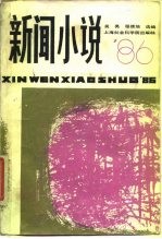 新闻小说'86