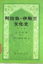 阿拉伯-伊斯兰文化史  第6册  正午时期  2