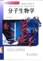 分子生物学 影印版