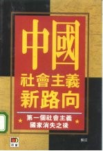 中国社会主义新路向 第一个社会主义国家消失之后