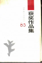 1985年《中篇小说选刊》获奖作品集 下