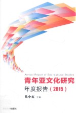 青年亚文化研究年度报告 2015