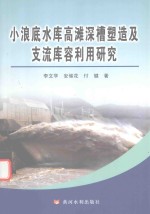 小浪底水库高滩深槽塑造及支流库容利用研究