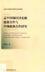 孟中印缅经济走廊能源合作与中缅能源合作研究