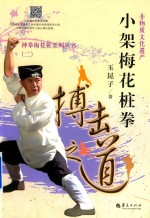 非物质文化遗产  小架梅花桩拳  搏击道