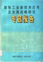 钢铁工业新技术应用及发展战略研究 专题报告