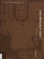 中国文化遗产研究院文物保护工程与规划系列  潼南大佛保护修复工程报告  2015年