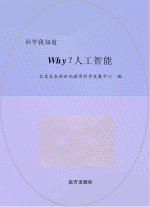 why？人工智能