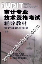 审计专业技术资格考试辅导教材  审计理论与实务  下