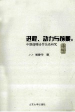 进程、动力与前景 中俄战略协作伙伴关系研究