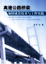 高速公路桥梁加固成套技术与工程实践