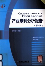 产业专利分析报告 第2册