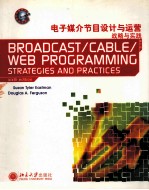 电子媒介节目设计与运营 战略与实践