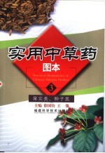 实用中草药图本 3 果实类、种子类