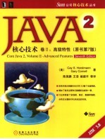 Java 2核心技术 第7版 2 高级特性