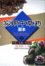 实用中草药图本 4 叶类、木类、全草类