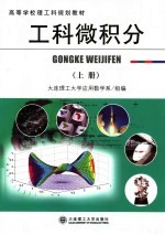 高等学校理工科规划教材 工科微积分 上