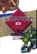 实用中草药图本 2 根茎类、皮类、茎藤类、其他类