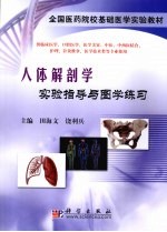 人体解剖学实验指导与图学练习