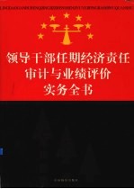 领导干部任期经济责任审计与业绩评价实务全书 下