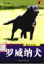 罗威纳犬：勇者无畏