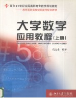 大学数学应用教程 上