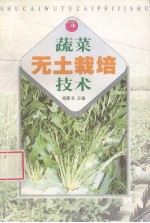 蔬菜无土栽培技术