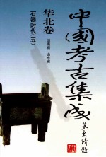 中国考古集成 华北卷 河南省 山东省 石器时代 5