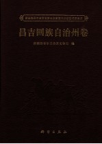 新疆维吾尔自治区第三次全国文物普查成果集成 昌吉回族自治州卷