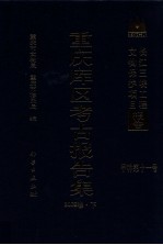 重庆库区考古报告集  2002卷  下