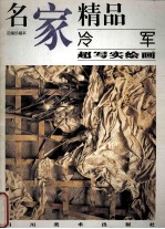 名家精品 百集珍藏本 中国部分 冷军超写实绘画