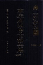 重庆库区考古报告集  2002卷  上